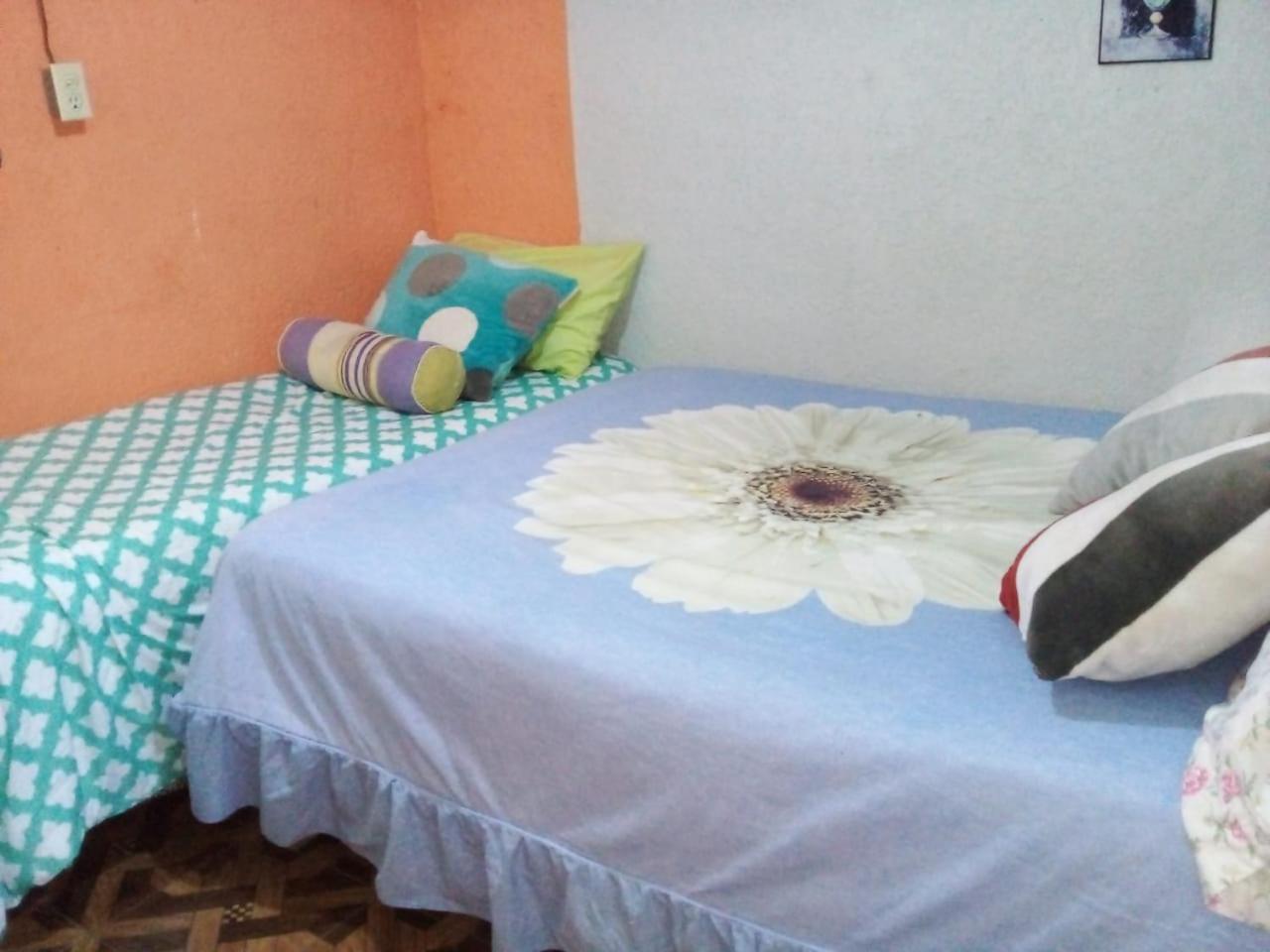 Posada Jardin Huasteca Xilitla Bagian luar foto