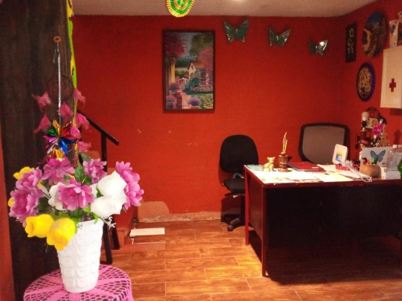 Posada Jardin Huasteca Xilitla Bagian luar foto